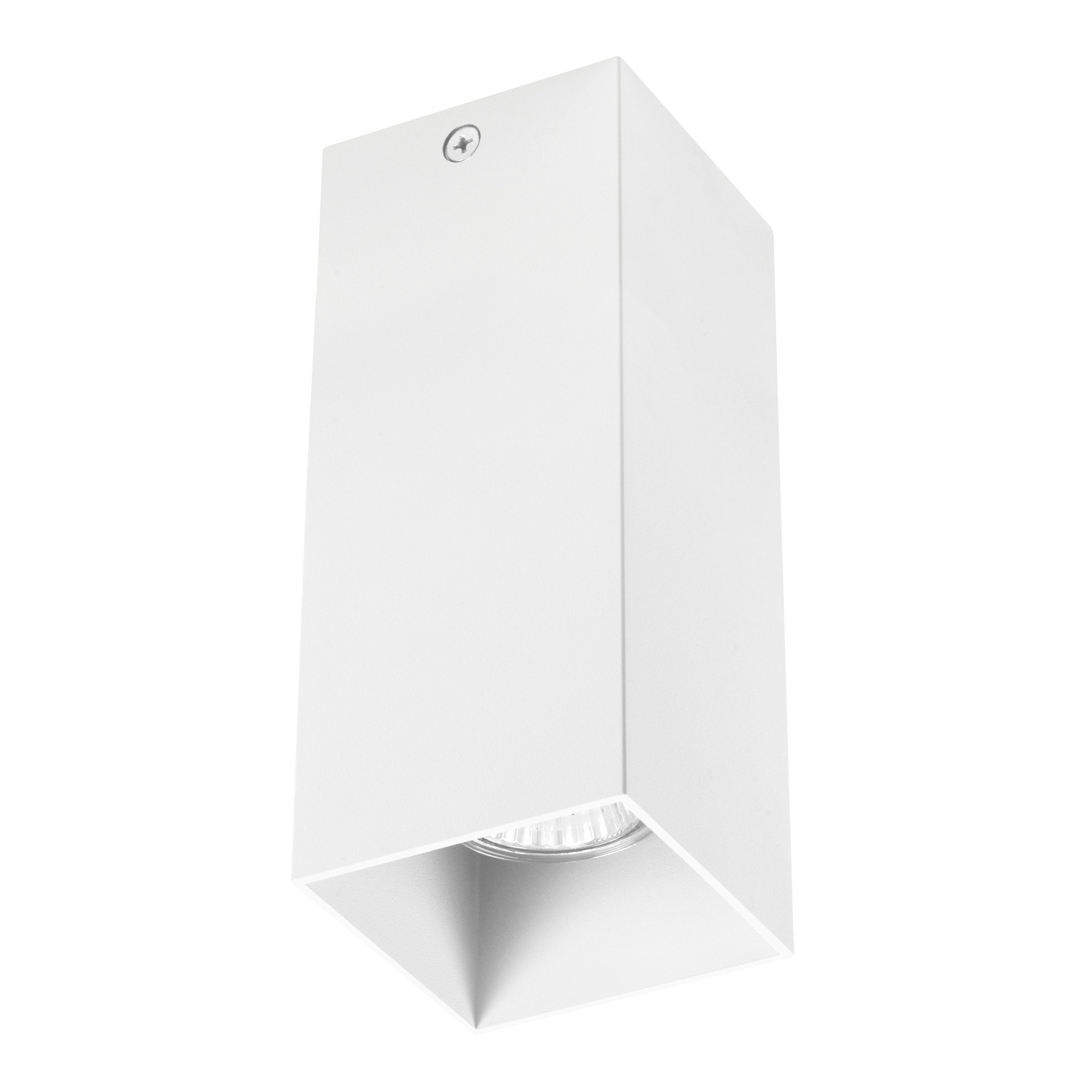 Накладной светильник Lightstar Rullo 220V