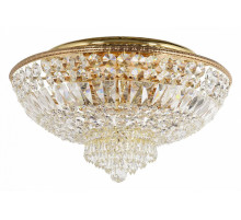 Потолочный светильник Arti Lampadari Eterno E 1.2.55.600 G