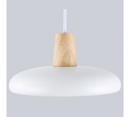 Подвесной светильник Ambrella Light Linetech Comfort FL4838