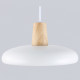Подвесной светильник Ambrella Light Linetech Comfort FL4838