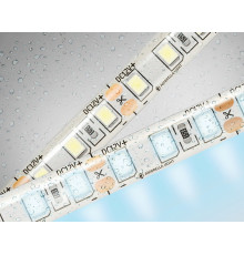 Светодиодная лента Ambrella Light LED Strip 12В 2835 9,6Вт/м 6500K 5м IP65 GS1203