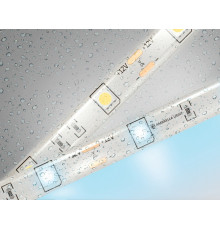 Светодиодная лента Ambrella Light LED Strip 12В 5050 7,2Вт/м 6500K 5м IP65 GS1903
