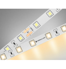 Светодиодная лента Ambrella Light LED Strip 24В 2835 6Вт/м 3000K 5м IP20 GS3001
