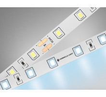 Светодиодная лента Ambrella Light LED Strip 24В 2835 6Вт/м 6500K 5м IP20 GS3003