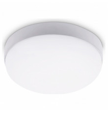 Уличный потолочный светильник Ambrella Light Street ST8624
