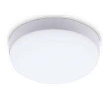 Уличный потолочный светильник Ambrella Light Street ST8633