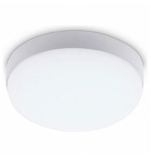 Уличный потолочный светильник Ambrella Light Street ST8633