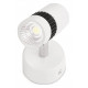 Накладной светильник Ambrella Light TN101/7W WH/BK