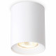 Накладной светильник Ambrella Light Techno spot TN213136