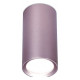 Потолочный светильник Ambrella Light Techno Spot TN220