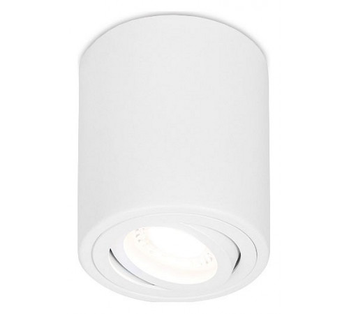 Потолочный светильник Ambrella Light Techno Spot TN225 Потолочный светильник Ambrella Light Techno Spot TN225