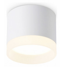 Накладной светильник Ambrella Light Acrylic Frost TN5365