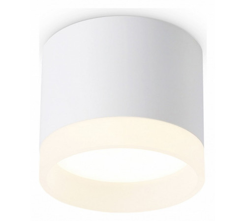 Накладной светильник Ambrella Light Acrylic Frost TN5365 Накладной светильник Ambrella Light Acrylic Frost TN5365