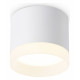Накладной светильник Ambrella Light Acrylic Frost TN5365