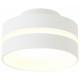 Накладной светильник Ambrella Light Techno TN5419