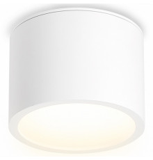 Накладной светильник Ambrella Light IP Protect TN6550