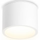 Накладной светильник Ambrella Light IP Protect TN6550