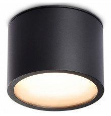 Накладной светильник Ambrella Light IP Protect TN6551
