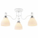 Потолочная люстра Ambrella Light Modern TR303302