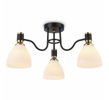 Потолочная люстра Ambrella Light Modern TR303303