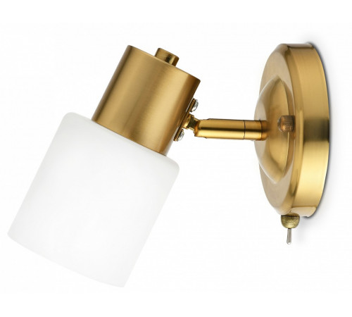 Спот Ambrella Light Traditional TR3967