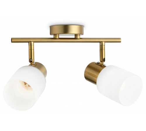 Спот Ambrella Light Traditional TR3969