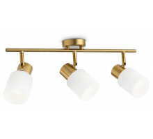 Спот Ambrella Light Traditional TR3972