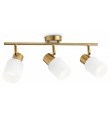 Спот Ambrella Light Traditional TR3972