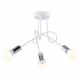 Потолочная люстра Ambrella Light Loft TR80414