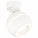 Спот Ambrella Light Techno Spot XM1101015 (A2202, C1101, N7110)