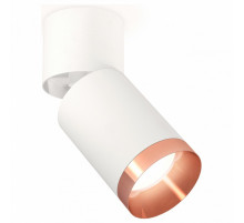 Спот Ambrella Light Techno Spot XM6312045 (A2220, C6312, N6135)