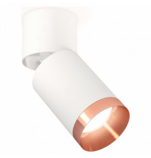 Спот Ambrella Light Techno Spot XM6312045 (A2220, C6312, N6135)