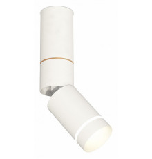 Спот Ambrella Light Techno Spot XM6312135 (C6322, A2062, A2220, C6312, N6228)