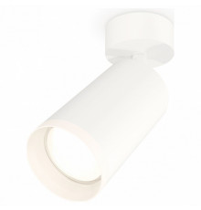 Спот Ambrella Light Techno Spot XM6322010 (A2202, C6322, N6246)