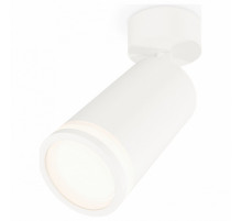 Спот Ambrella Light Techno Spot XM6322013 (A2202, C6322, N6220)