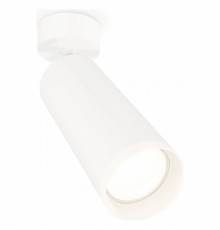 Спот Ambrella Light Techno Spot XM6342010 (A2202, C6342, N6246)
