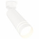 Спот Ambrella Light Techno Spot XM6342013 (A2202, C6342, N6235)