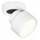 Спот Ambrella Light Techno Spot XM8101001 (A2228, A2105, C8101, N8112)