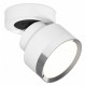 Спот Ambrella Light Techno Spot XM8101003 (A2228, A2105, C8101, N8118)
