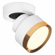 Спот Ambrella Light Techno Spot XM8101004 (A2228, A2105, C8101, N8124)