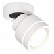 Спот Ambrella Light Techno Spot XM8101023 (A2228, A2105, C8101, N8433)