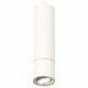 Подвесной светильник Ambrella Light Techno Spot XP7401040 (A2310, C7455, A2070, C7401, N7003)