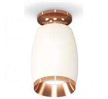 Потолочный светильник Ambrella Light Techno Spot XS1122045 (N6906, C1122, N7035)