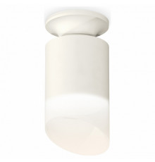 Накладной светильник Ambrella Light Techno XS6301105 (N6901, C6301, N6256)