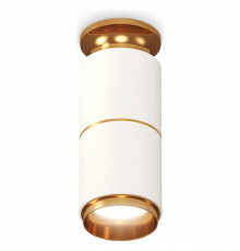 Потолочный светильник Ambrella Light Techno Spot XS6301260 (N6905, C6301, A2062, N6124)