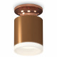 Потолочный светильник Ambrella Light Techno Spot XS6304152 (N6906, C6304, N6245)