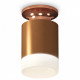 Потолочный светильник Ambrella Light Techno Spot XS6304153 (N6906, C6304, N6248)