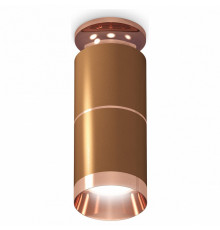 Потолочный светильник Ambrella Light Techno Spot XS6304210 (N6906, C6304, A2063, N6135)