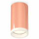 Потолочный светильник Ambrella Light Techno Spot XS6326020 (C6326, N6245)