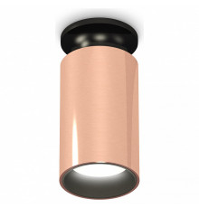 Потолочный светильник Ambrella Light Techno Spot XS6326101 (N6902, C6326, N6111)